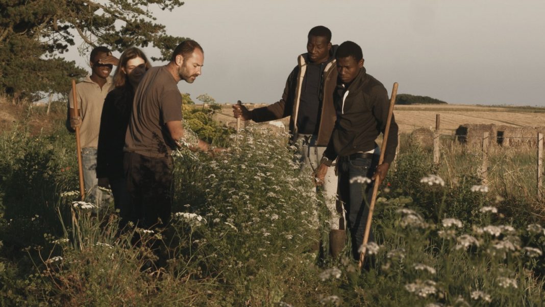 Photo du film Le bel été