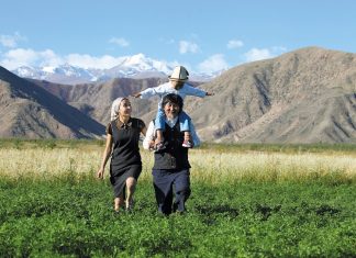 On achète bien les chevaux Centaure