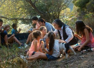 Paradoxe du Léaud Le lion est mort ce soir
