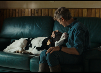 Lonesome cow-boy PETIT PAYSAN