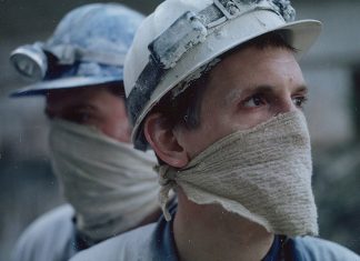 Le gris et le noir Winter-Brothers