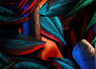 Julien Colombier, homme de la jungle ? Julien Colombier