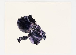 MIGNONNE, ALLONS VOIR SI L’IRIS… Exposition Patrick Neu, Iris, jardin des délices