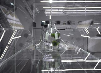 NOUVEAUX MONDES The Crystal & the Blind, Installation, 2018