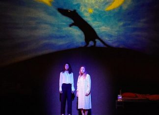 Les rats de Crimp Photo du spectacle Into the little hill