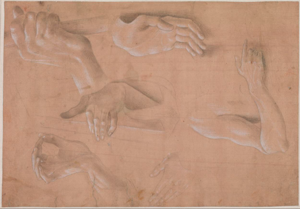 Six études de mains d’Alvise Vivarini