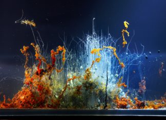 Hicham Berrada, éloge de la lenteur