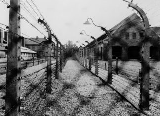 Polanski, l’enfant sauvé