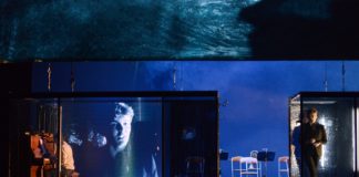 Doux oiseaux de jeunesse