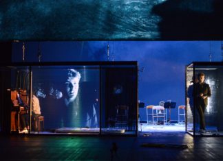 Doux oiseaux de jeunesse