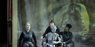 Lotte de Beer, l’intrépide