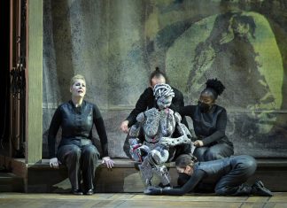 Lotte de Beer, l’intrépide