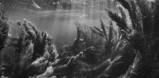 Nicolas Floc’h, tréfonds marins