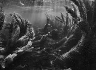 Nicolas Floc’h, tréfonds marins