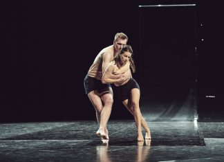 Yuval Pick, fin de partita