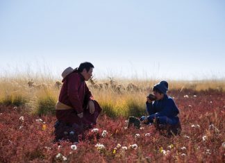 Le goût des steppes