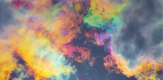 Caroline Guiela Nguyen, consolatrice