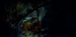 Anne-Cécile Vandalem: « Je veux montrer comment les enfants reçoivent la violence du monde »