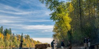 Kelly Reichardt: « Mon film est un western d’un nouveau genre »
