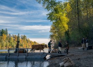 Kelly Reichardt: « Mon film est un western d’un nouveau genre »