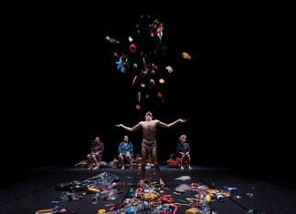 L’imbécile heureux