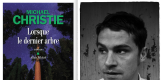 La forêt désenchantée