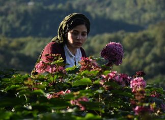 Des hommes ordinaires