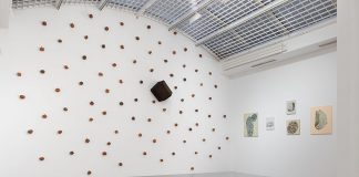 Rêveries de pierres