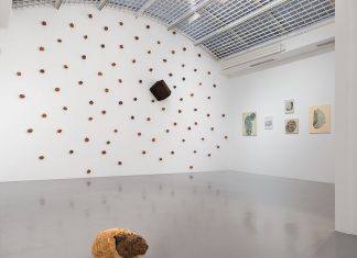 Rêveries de pierres