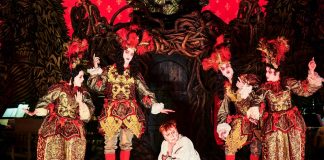 Dandin le magnifique