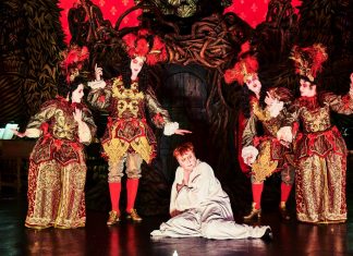 Dandin le magnifique