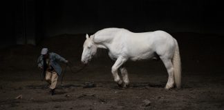 Romeo Castellucci fait un Mahler à Aix