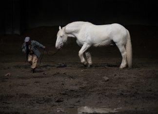 Romeo Castellucci fait un Mahler à Aix