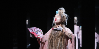 Gary, Ajar et les autres