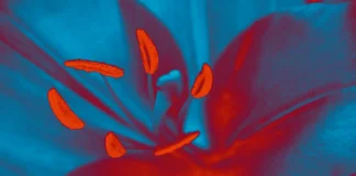 La Biennale de Lyon invoque la résilience