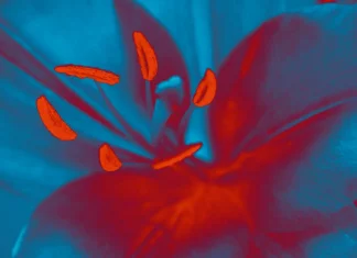 La Biennale de Lyon invoque la résilience