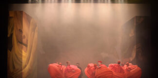 Le rêve de Galilée au Français