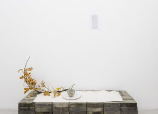 Asia Now bat Monnaie