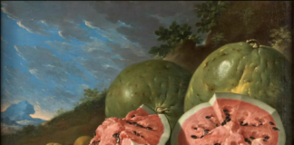 Vivantes natures mortes