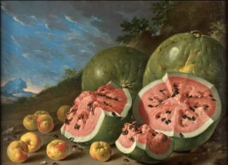 Vivantes natures mortes