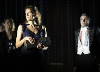 Le maître des illusions