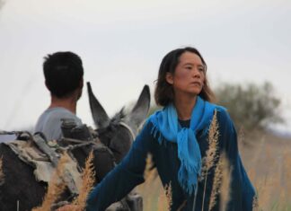 Le retour des hirondelles…et de la censure chinoise