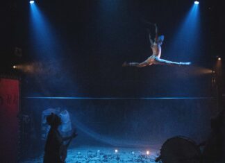 Le cirque est mort, Vive le cirque !