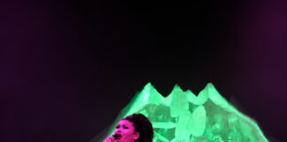 Showgirl: au pays du ring’ paillette