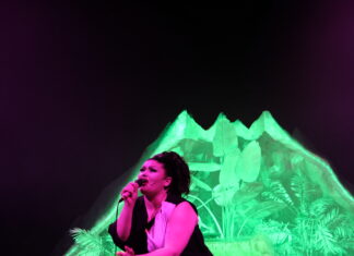 Showgirl: au pays du ring’ paillette