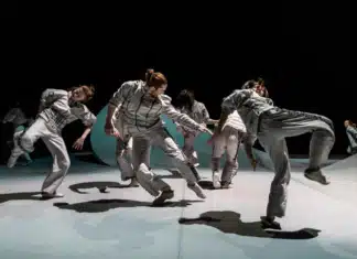 Ciel rouge et cerfs-volants à la Villette