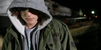 Les marges de Gus Van Sant