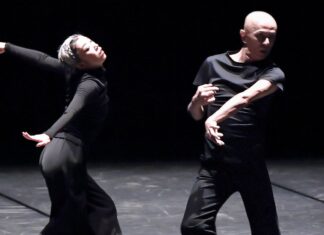 Teshigawara, le corbeau dansant