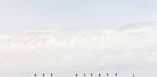 L’humanité en Arctique et au Centre culturel canadien