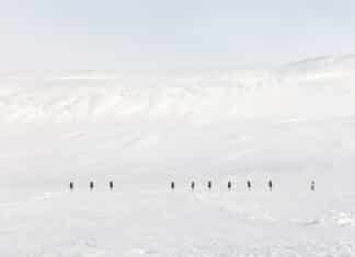 L’humanité en Arctique et au Centre culturel canadien